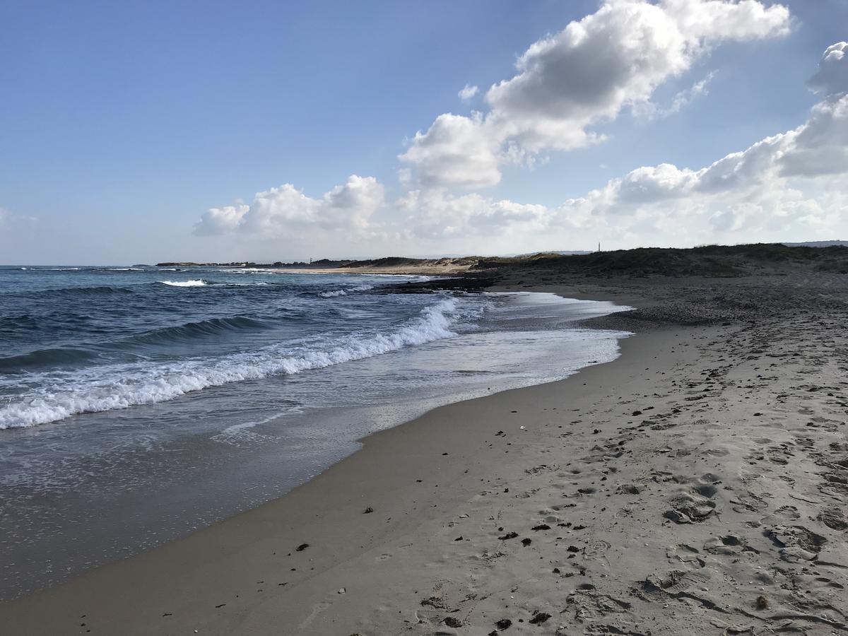 Apartment Caesarea 38 Dış mekan fotoğraf